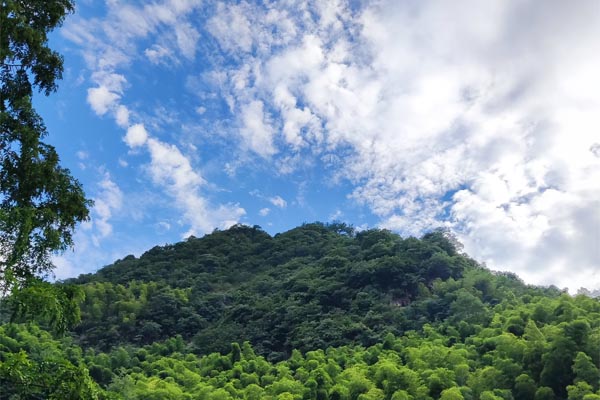 遼寧省6月上半月空氣質量形勢預報