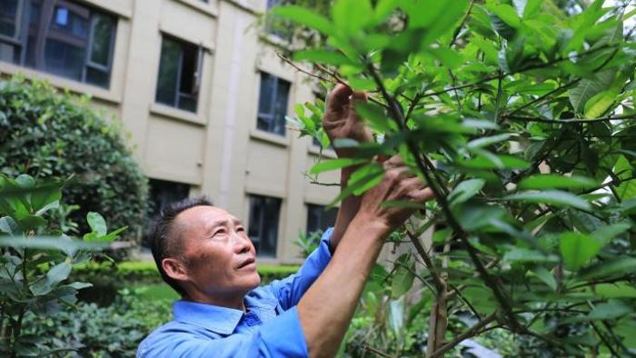 成都一小區提供“植物寄養”服務 爲居民免費養護盆栽