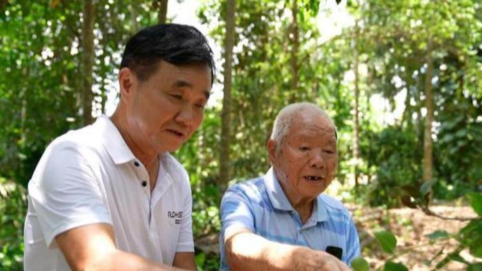 採種、育種南藥近千種 九旬老人深耕南藥六十余載