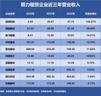 算力租賃，誰是成長最快企業？