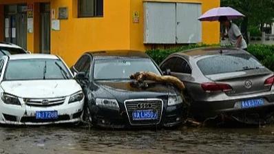 汽車受損 住房跑水……暴雨過後誰爲財產損失“买單”？