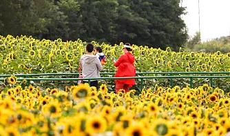 超長假期點燃出遊熱情，多地开啓“花式”攬客