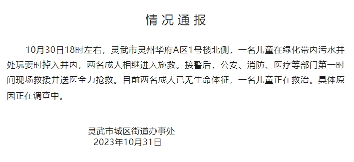 寧夏靈武一兒童掉入污水井：2名成人入井施救死亡