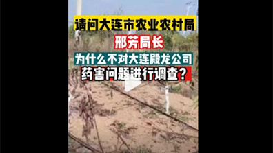 打假人王海發帖質疑“上百畝櫻桃樹死亡”調查過程 大連官方回應