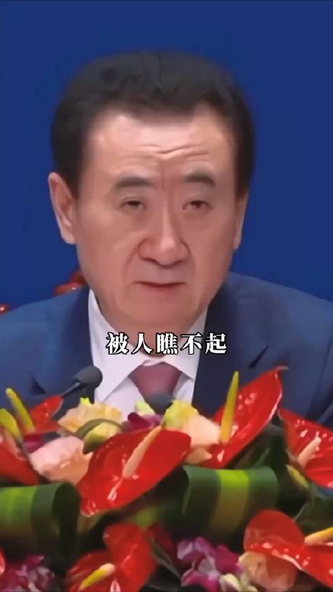 王健林，被人瞧不起，鄙視，低三下四求人……………