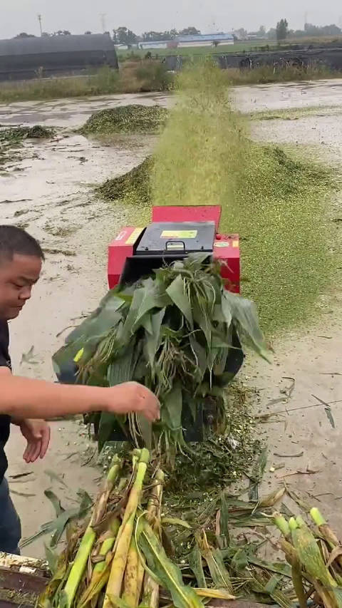 這機器看起來真解壓……