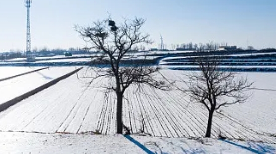 2024年首場大範圍雨雪日歷出爐 武漢重慶等地开啓陰雨周