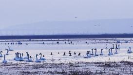 冷冷冷！今年首場寒潮將攜暴雪來襲 氣溫將明顯下降