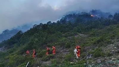 近來森林火災多發 兩部門向四省調撥森林防滅火物資