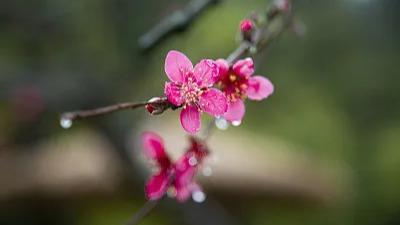 中央氣象台：江南華南將有強降雨 全國其他大部地區天氣晴好