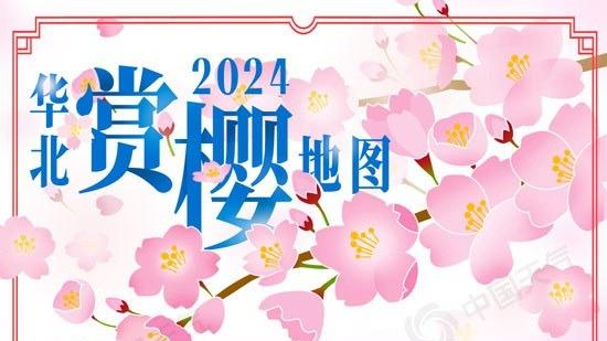 春日限定浪漫！請查收這份2024華北地區賞櫻地圖