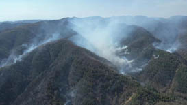 甘肅天水秦州區山火正在撲救 46戶村民已及時轉移