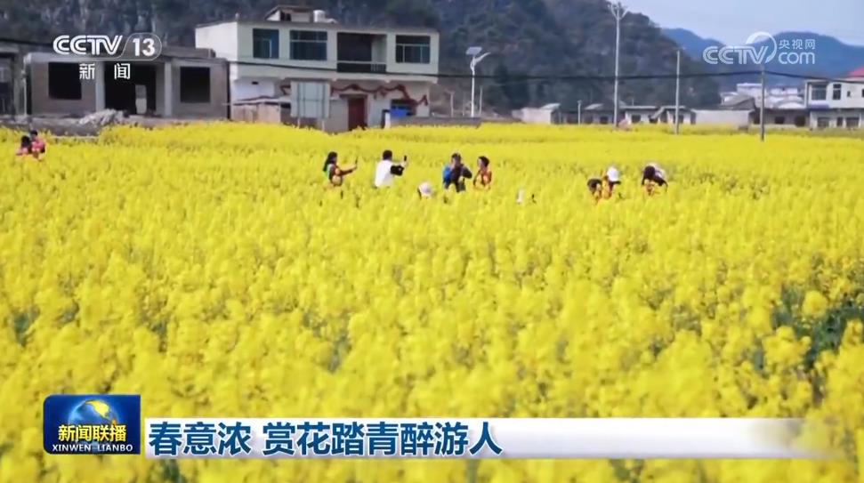 春暖花开正嬌豔 賞花踏青勝地等你來打卡