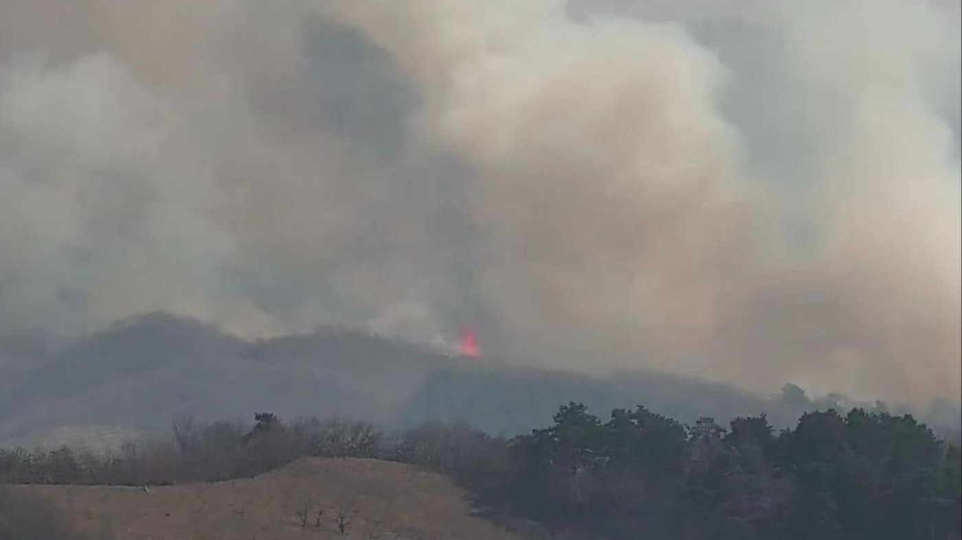 遼寧撫順發生山火 救援力量已趕赴現場