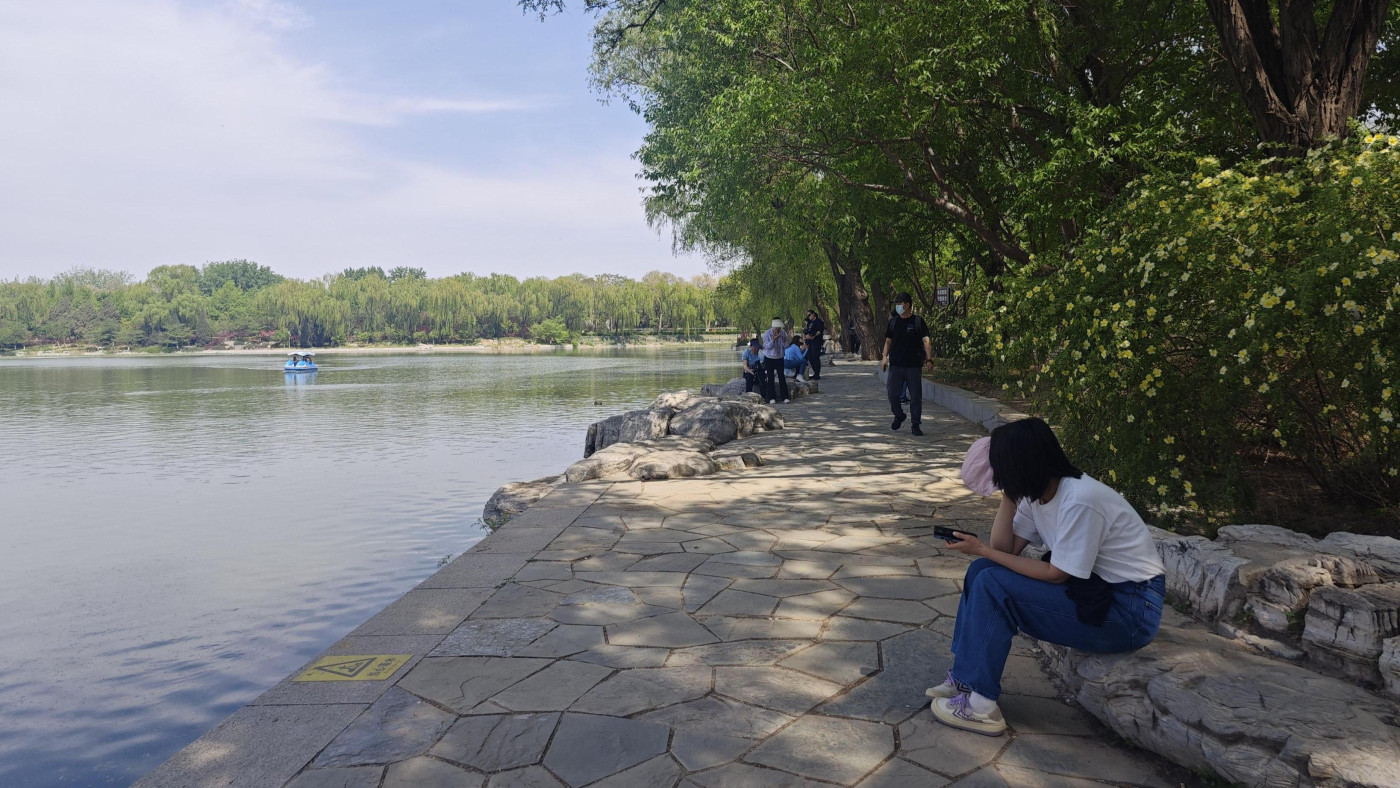 公園20分鐘效應，緣何吸引年輕人？