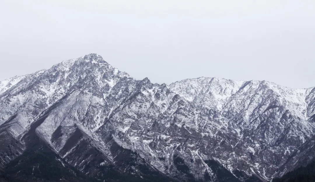 讀懂一年！恆瑞醫藥站起來依然是一座高山，大概率就在2024年