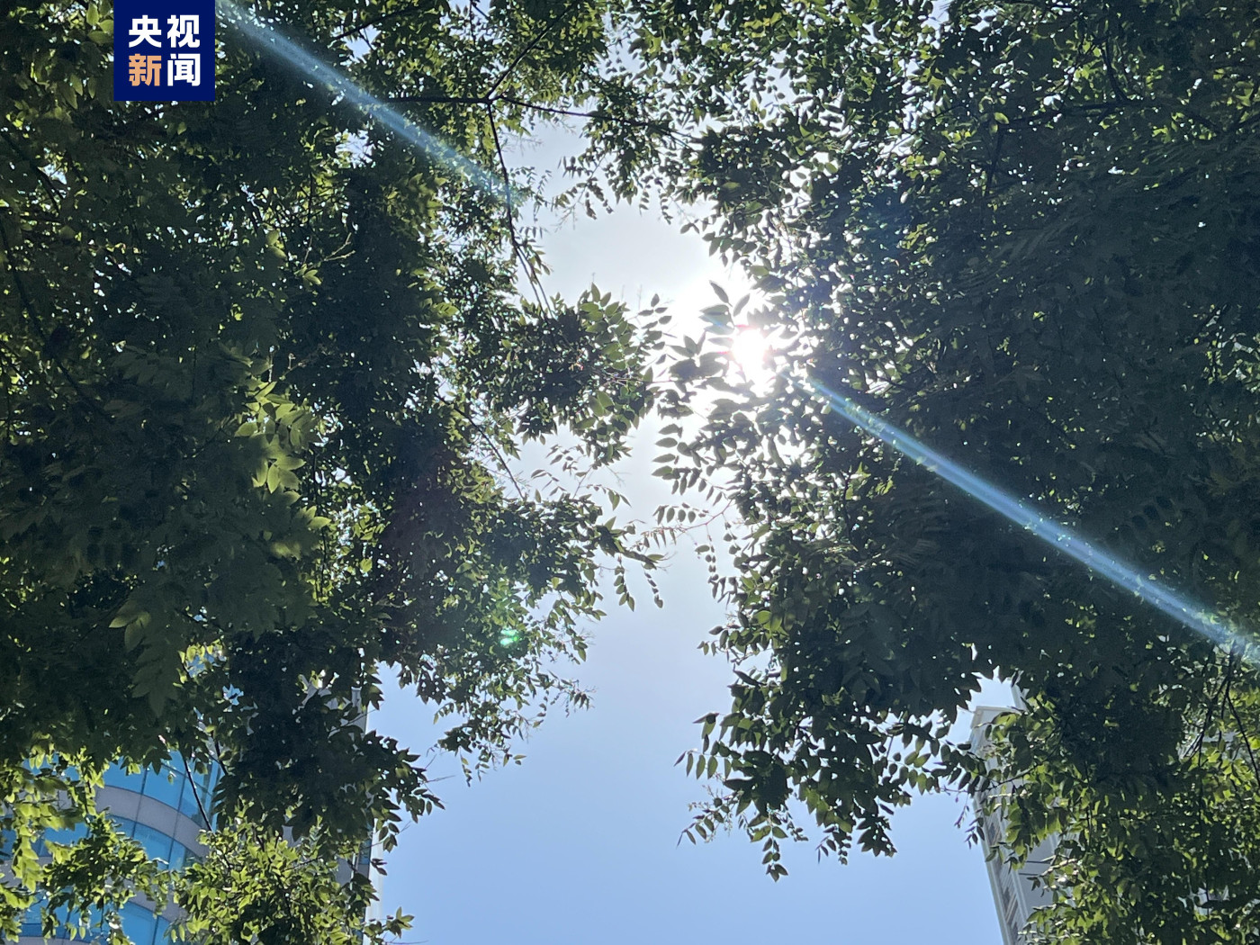 今夏高溫天氣會頻現嗎？專家釋疑本輪北方高溫熱點問題