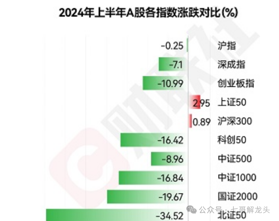 2024年上半年收官，以大爲美，人均虧5萬，你账戶如何？