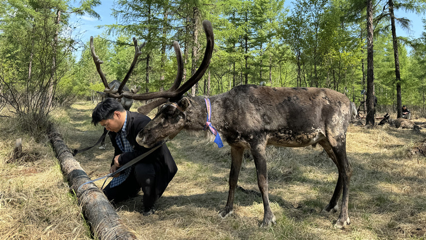 當大興安嶺的孩子准備離开森林