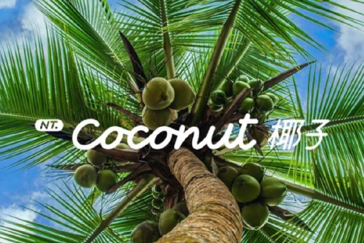 NT.Coconut 椰子 樂道汽車智能系統正式發布