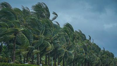 超強台風“摩羯”致海南4死95傷 經濟損失慘重