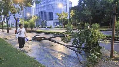 “貝碧嘉”深入內陸影響安徽河南等地 南方多地高溫再起