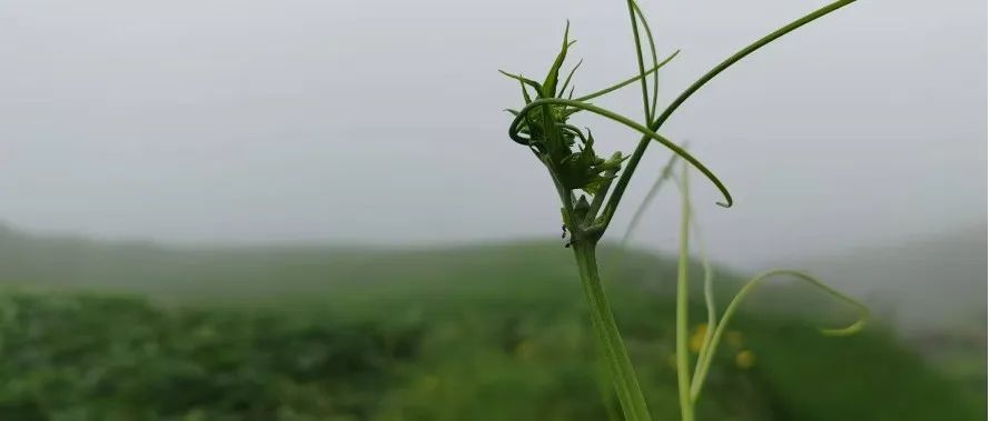 我是爲何賣掉茅台的？