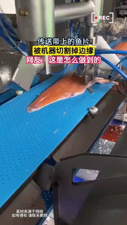 傳送帶上的魚片，被機器切割掉邊緣，網友：這是怎么做到的？