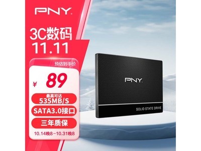 88元搶購PNY 必恩威 CS900 系列SSD固態硬盤250GB