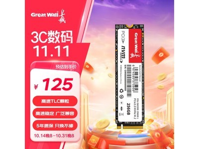 Great Wall長城256GB SSD固態硬盤促銷價125元