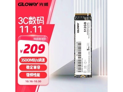 光威Basic+ 512GB SSD固態硬盤到手價187元