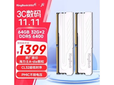 爆款搶購！海力士顆粒內存條單片容量64GB，頻率高達6400MHz