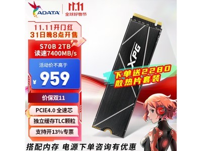 威剛XPG翼龍S70B PCIe4.0 SSD固態硬盤2TB 黑神話悟空 S70 BLADE