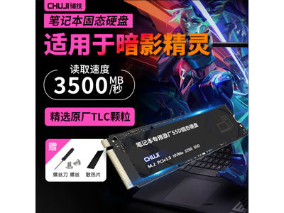 儲技 暗影精靈專用 高速SSD 255元帶回家！