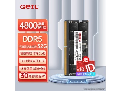 突破性能瓶頸：GEIL金邦32GB DDR5-4800筆記本內存條，高性價比的極致速度選擇