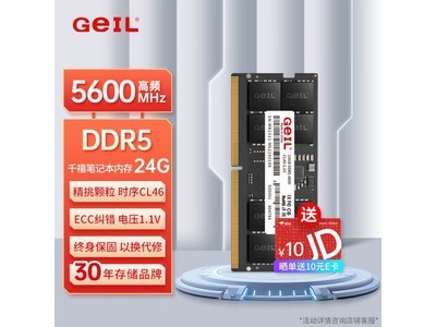 提升效率與體驗：GEIL千禧24GB DDR5-5600筆記本內存條，專業加速器僅售379元