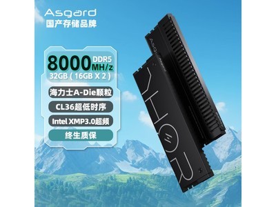 阿斯加特 32GB DDR5 8000 台式機內存條京東限時優惠：834元