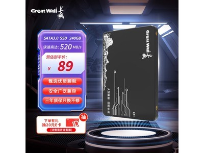 長城GW520 SSD固態硬盤限時立減88.56元 240GB大容量高速傳輸