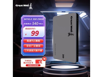 長城 GW560 256GB SSD固態硬盤超值優惠僅售99元