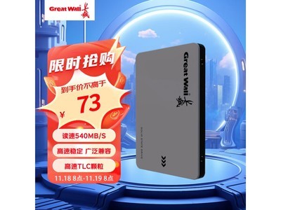 長城128GB SSD固態硬盤特價73元