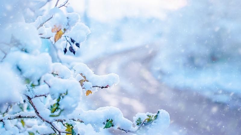 全國重點城市雨雪進程表出爐！來看雪花何時到你家→