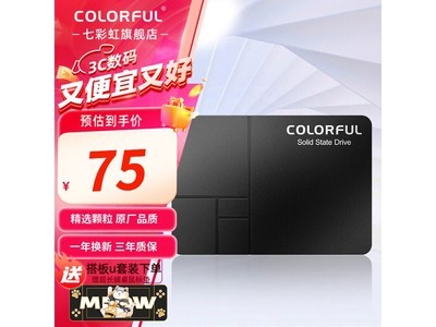 七彩虹SL300 固態硬盤限時優惠74元，讀速高達500MB/s