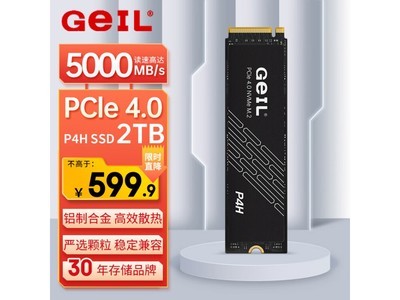 省錢又提升電腦運行效率 2TB SSD固態硬盤599元