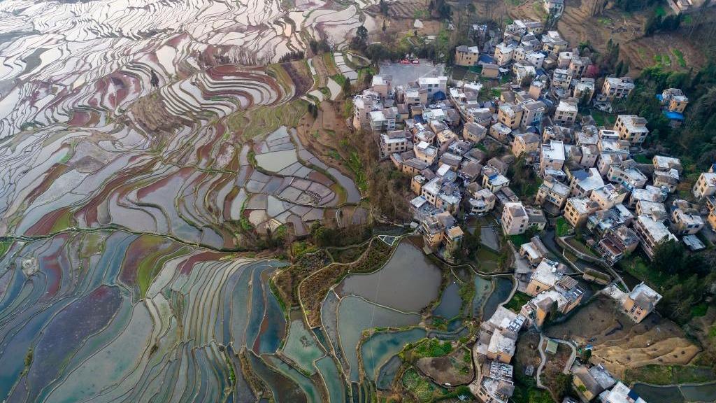 打卡新晉世界“最佳旅遊鄉村”之雲上“蘑菇”村落阿者科！