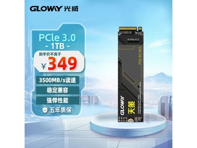 1TB SSD固態硬盤349元 光威 黑神話