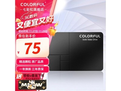 老機專用 128GB 固態硬盤特價促銷僅74元