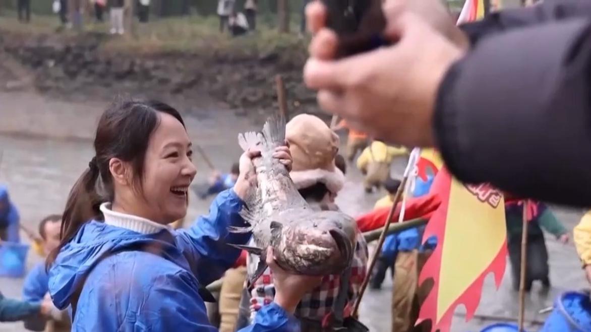 走，下塘捕魚！浙江多地陸續撒下冬捕第一網