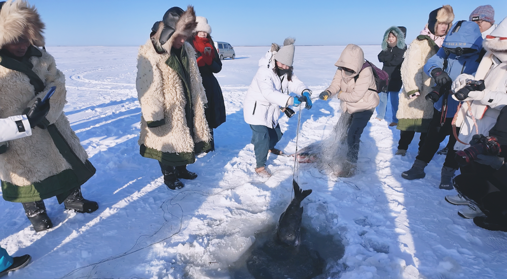 走進黑龍江｜踏雪觀鶴 體驗蒙古族鄉村特色遊